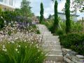15 cypre  s gaura geranium rozanne romarins