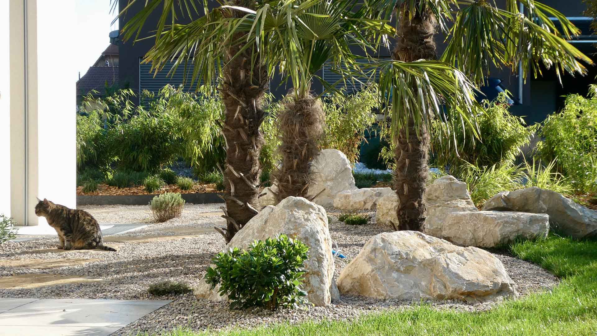 10 p1070159 10 p1070159