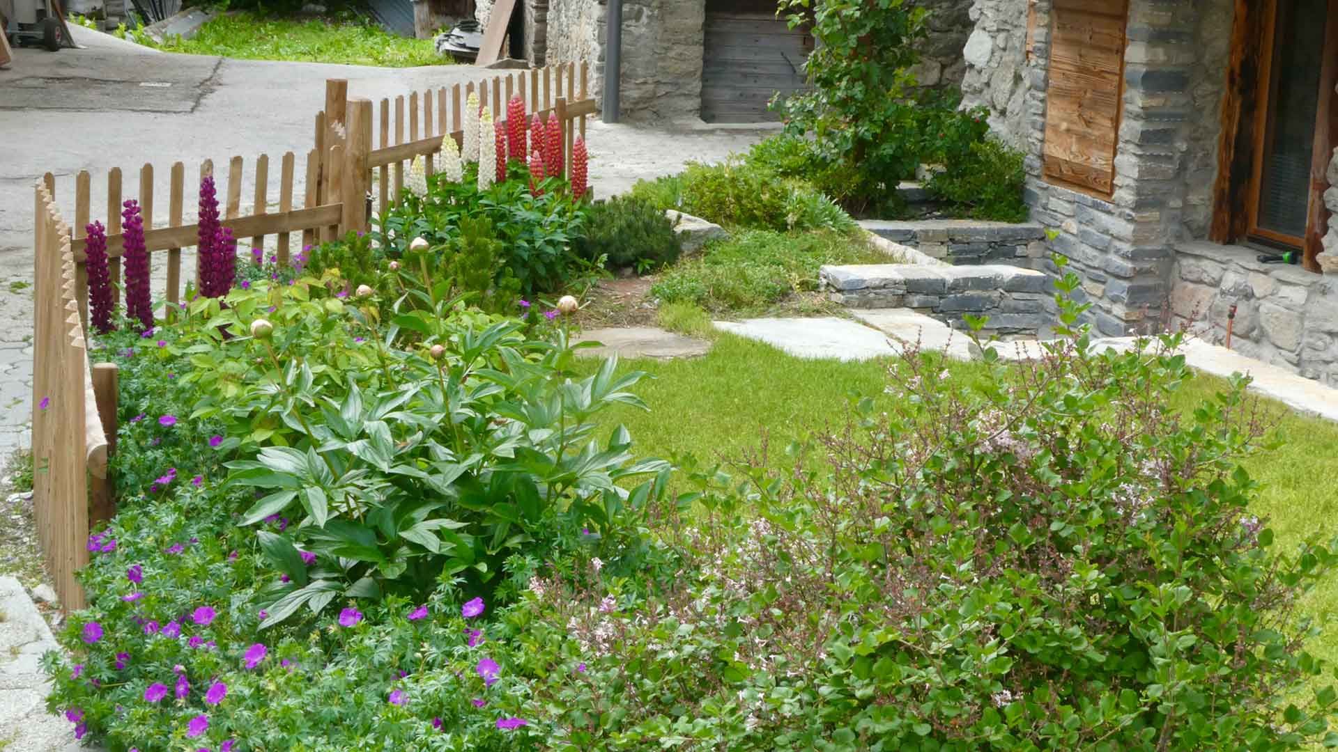 18 lupins et pivoine 18 lupins et pivoine