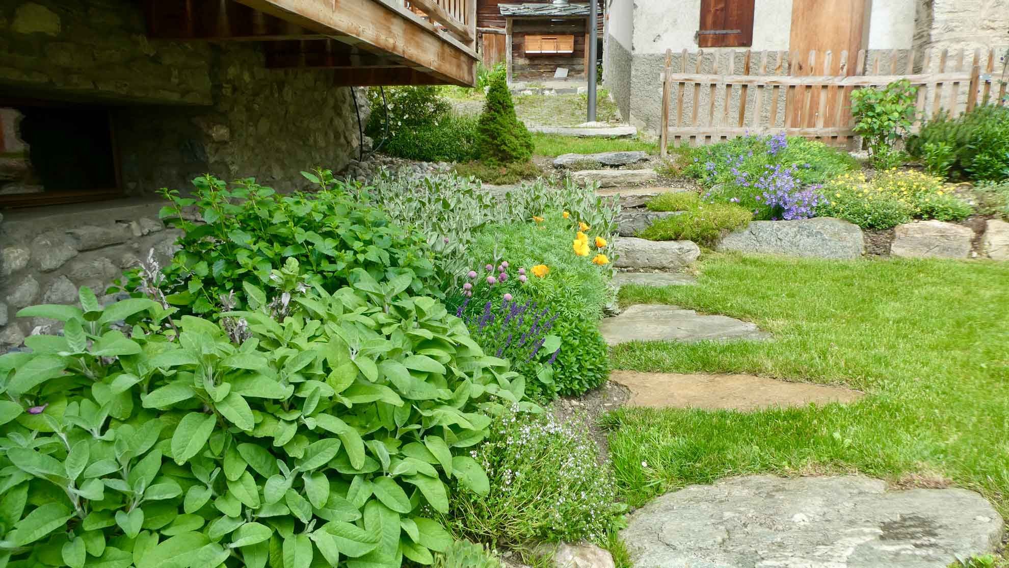 jardin de montagne evolene jardin de montagne evolene