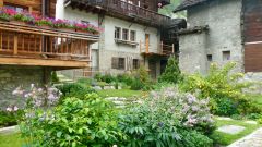 jardin de village de montagne evolene carole roulier