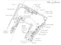 bougeois amenagement jardin nb