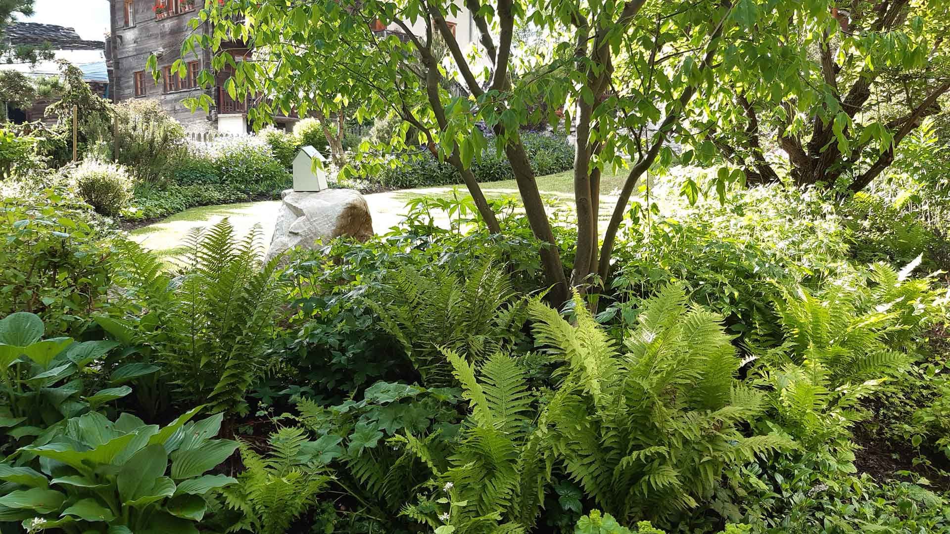 11 ambiance sous bois 11 ambiance sous bois