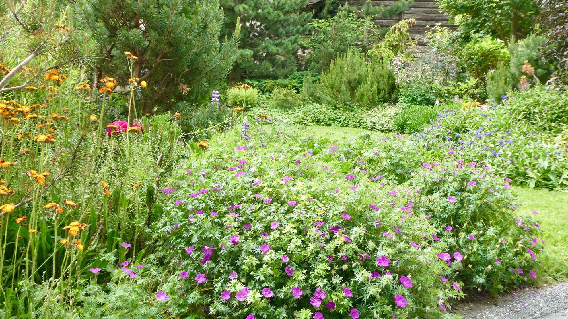 jardin de montagne a evvolene jardin de montagne a evvolene