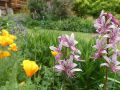 jardin de village a evolene carole roulier